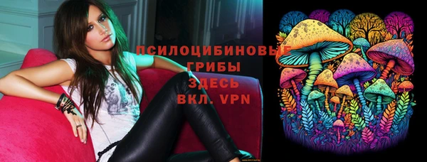 тгк Алексин